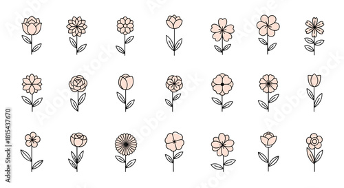 Collection of twenty-one simple and elegant flower icons, illustrated with clean black outlines and soft pink colored petals.