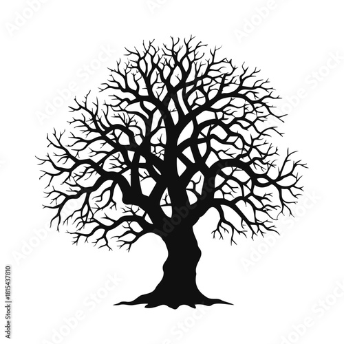 Striking silhouette of a bare tree against a transparent backdrop, perfect for nature designs, autumnal themes, and serene landscapes with organic motifs