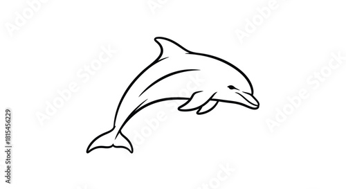 Elegant dolphin line art for marine life designs and ocean conservation