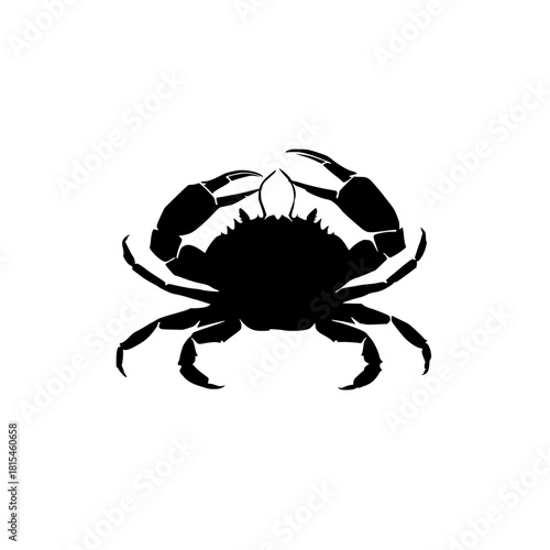 black crab isolated on white background