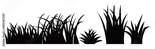Set of grass silhouettes on a white background 