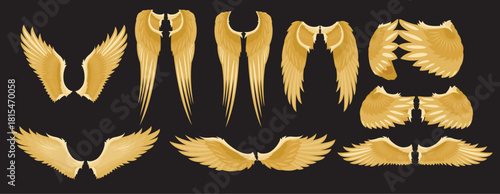 Set of Angel Wings vector illustration