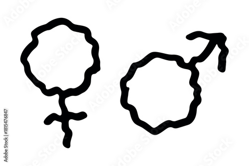 Hand drawn female and male gender identity sign Symbol used to represent sex and gender Single element for print, web, design, decor