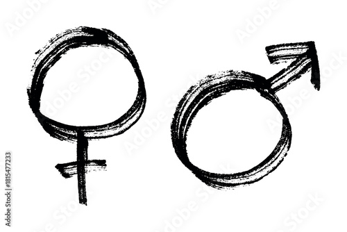 Hand drawn female and male gender identity sign Symbol used to represent sex and gender Single element for print, web, design, decor