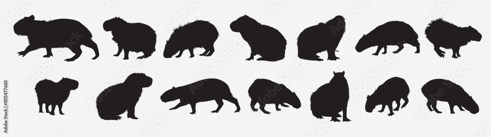 Obraz premium capybara animal silhouette set