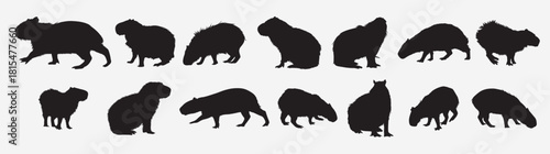 capybara animal silhouette set