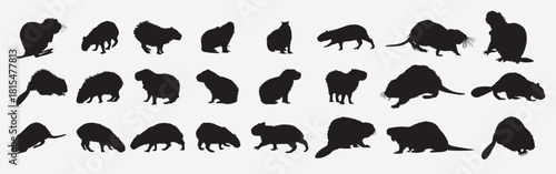 capybara beaver animal silhouette set 