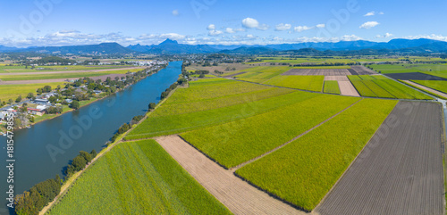 Overhead view of Cane fields near Murwillumbah, New South Wales, Australia