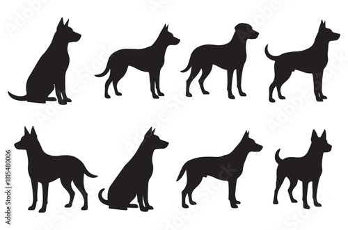 Silhouettes of various dog breeds in different poses and arrangements