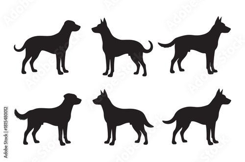 Black silhouettes of six different dog breeds standing in various poses