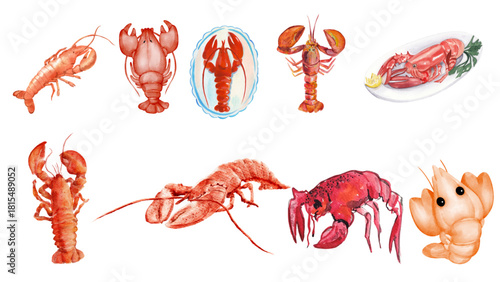 Collection of Watercolor Lobster Images for Seafood Themes and Nautical Art