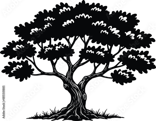 Tree silhouette illustration with detailed trunk and branches, black and white vector of a mature tree with foliage and roots