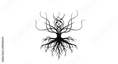 Mysterious, intricate tree silhouette with flowing branches and deep roots against a white background.