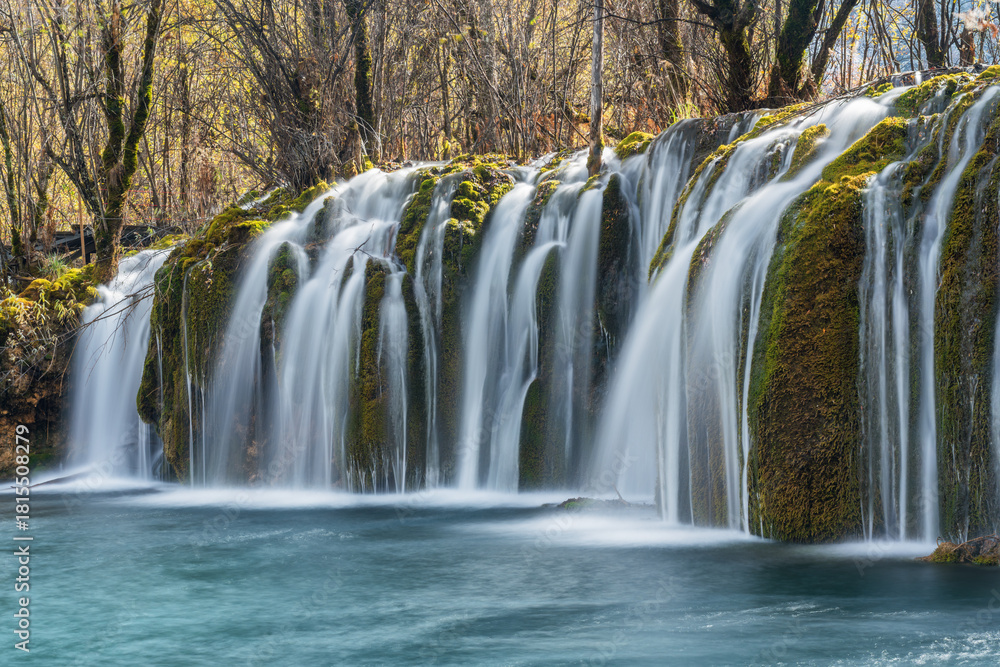Fototapeta premium Jiuzhaigou Arrow Bamboo Lake Waterfall close-up