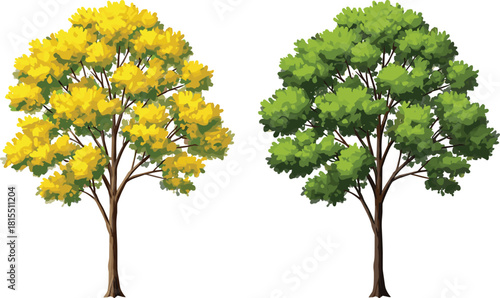 Yellow autumn tree, green summer tree, seasonal foliage contrast, deciduous forest, nature diversity, colorful leaves, seasonal change, botanical beauty, outdoor landscape, garden