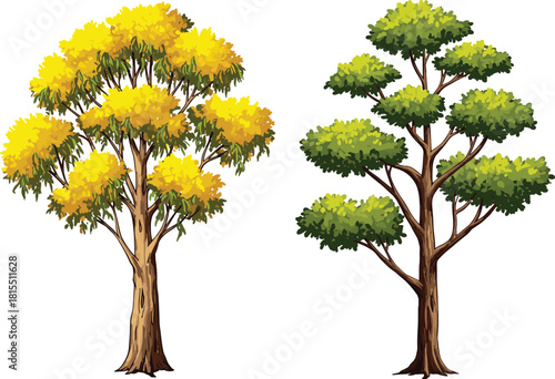 Yellow tree, green tree, foliage contrast, seasonal nature, botanical diversity, vibrant leaves, garden scene, plant structure, autumn colors, tree comparison