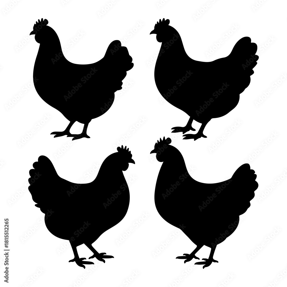 Fototapeta premium Set of hen silhouette vector illustration