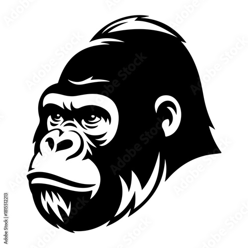 gorilla silhouette vector illustration