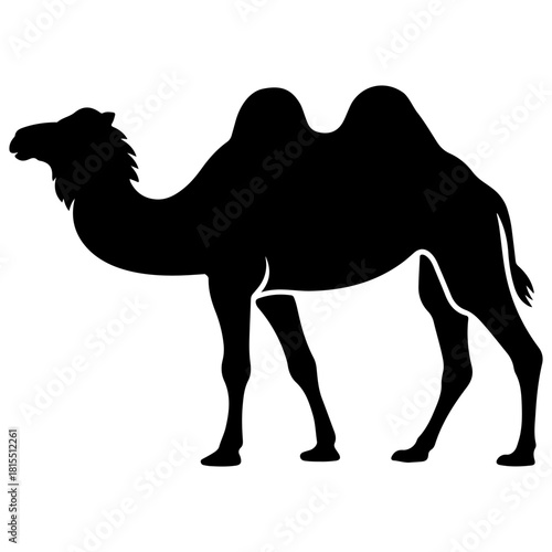 camel silhouette vector illustration