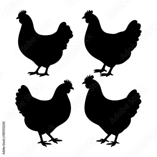 Set of hen silhouette vector illustration