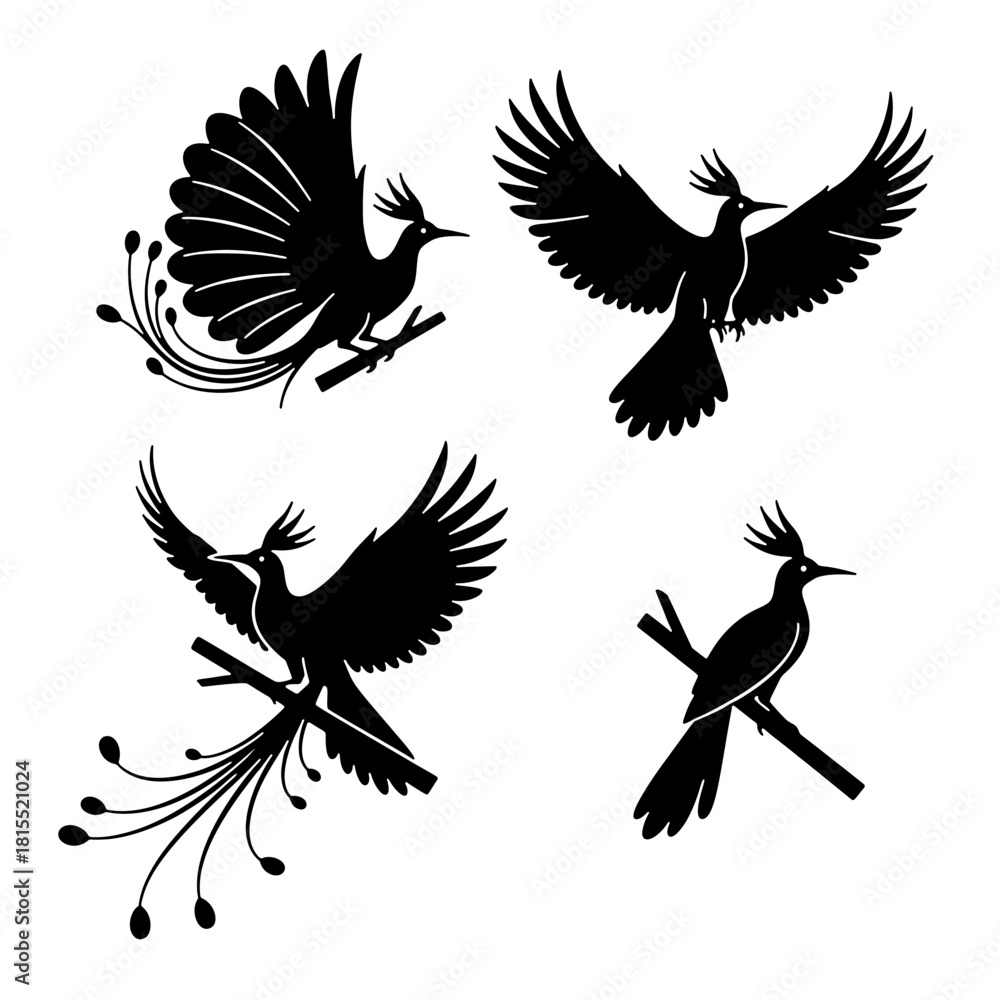 Obraz premium Exotic Bird of Paradise Cendrawasih silhouette vector set for tropical nature design.