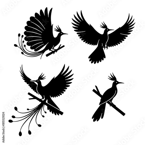 Exotic Bird of Paradise Cendrawasih silhouette vector set for tropical nature design.