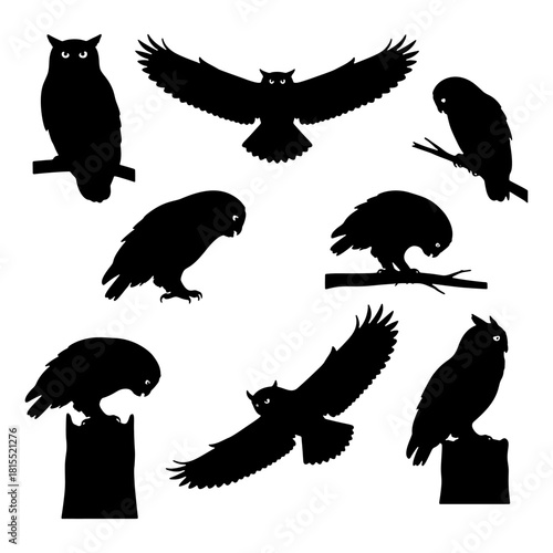 Wise Owl silhouette vector set, nocturnal bird of prey illustration for halloween.