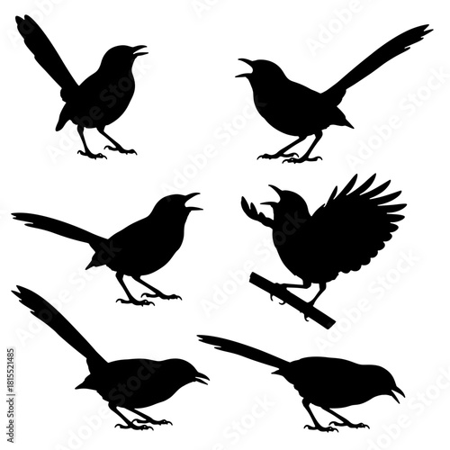Wallpaper Mural White-rumped Shama silhouette vector, famous singing bird icons. Torontodigital.ca