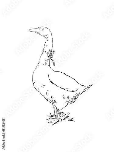Outline illustration of a standing goose with a bow around its neck, drawn in ink style with floral detail beneath the feet