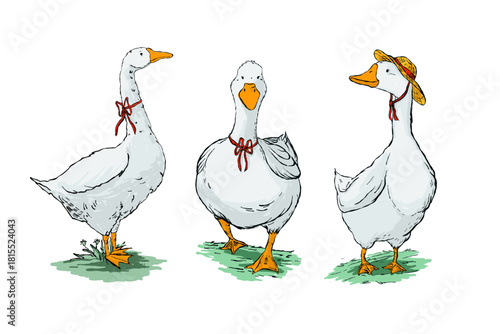 Three white geese in red bows, one in a straw hat, hand-drawn style, standing on green grass, isolated on white background
