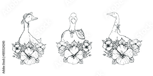 Three hand-drawn geese with ribbons surrounded by blooming flowers. Vintage ink-style linework on white background. Ideal for coloring books, greeting cards, stickers and prints.