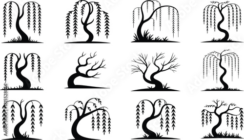 Willow tree silhouette vector set, black tree icons, drooping branches and foliage, nature graphics for forest, botanical, landscape, and design themes