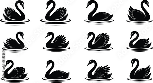 Swan silhouettes, elegant water bird poses, black nature shapes, floating and swimming vector collection, graceful neck curves, minimalist wildlife design elements