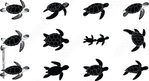 Turtle silhouettes, various poses and species, black reptile shapes, wildlife vector collection, crawling, resting, walking, unique turtle design elements