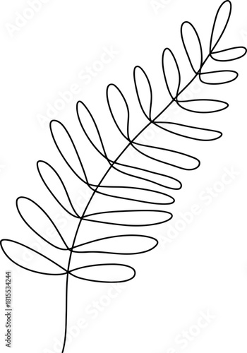Black outline of a fern frond with oval leaves on white background black and white