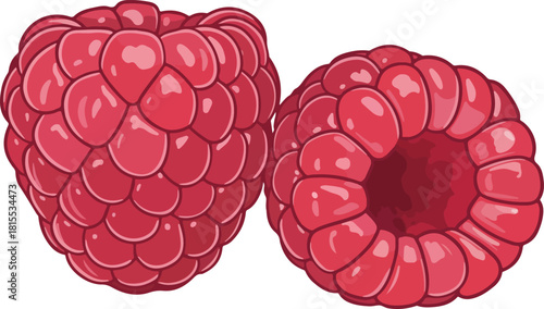 Two raspberries isolated on white background vector illustration