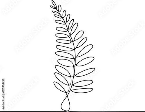 Single line drawing of a delicate fern frond with oval leaves leaf plant