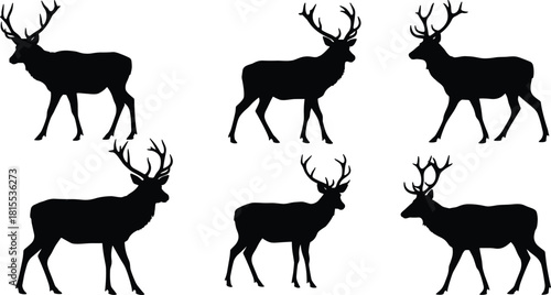 Set of walking deer silhouettes, majestic stag vector collection, wildlife animal illustration, forest nature design, hunting art, rustic outdoor emblem pack