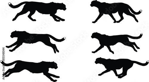 Cheetah running silhouette set, wild animal motion poses, speed concept, wildlife vector illustration, predator symbol, nature design, fast movement graphic