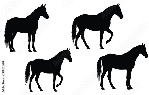Four horse silhouettes in different poses on white background