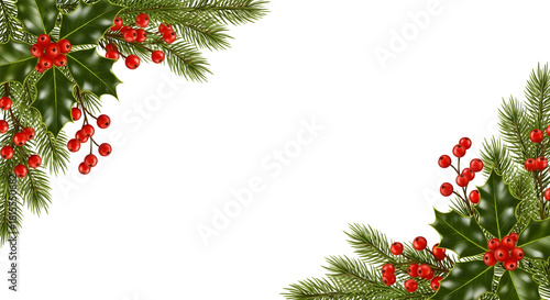 Christmas holly and pine border isolated on transparent background