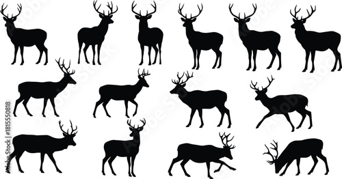 Deer silhouettes collection, stag and buck vector set, wildlife animal poses, hunting and forest nature illustration, wild animal art