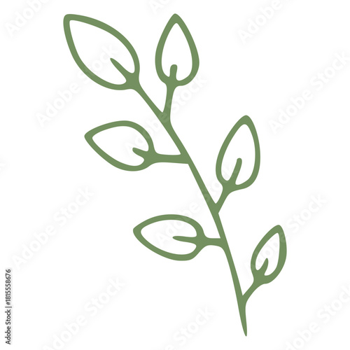 green leaf in handdrawn outline