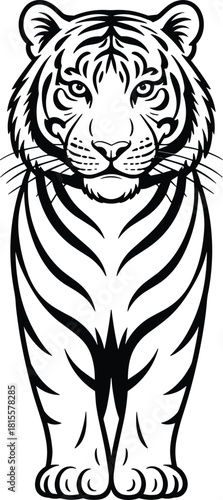 "Standing Tiger Line Art Vector – Elegant Black and White Wildlife Illustration"