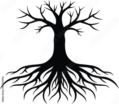 Black silhouette of a bare tree with visible roots