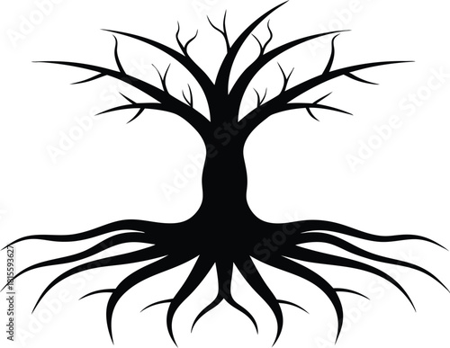 Black silhouette of a bare tree with visible roots