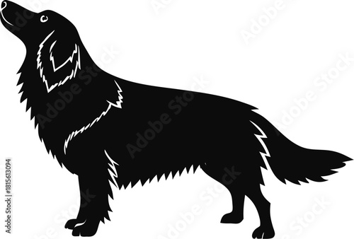 dog silhouette vector