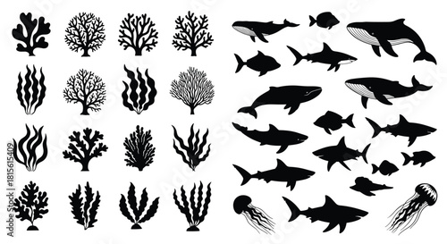 Silhouettes of diverse marine life, including coral, seaweed, kelp, whales, sharks, dolphins, fish, and jellyfish, depicting ocean, underwater ecosystem, nature, and sea fauna icons.