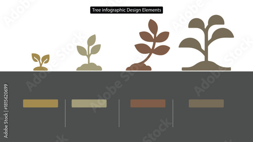 Tree Infographic Stages of Growth, Illustration for Presentation, Diagram, and Design