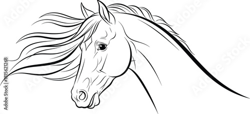 Detailed horse head line art vector illustration flowing mane outline sketch beautiful profile graceful speed power animal design equestrian racing graphic